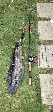 卖吃瓜钓鱼,揭秘夏日休闲新风尚