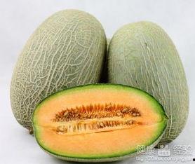 吃蜂蛹可以吃哈密瓜吗,探寻异域美食的奇妙搭配