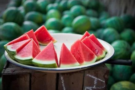 吃瓜养花,绿色生活新风尚