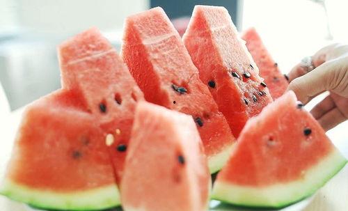 吃瓜长知识捷克,揭秘捷克的历史与文化