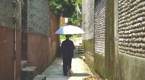 龙泉古镇吃瓜事件,一场网络热议背后的真相揭秘