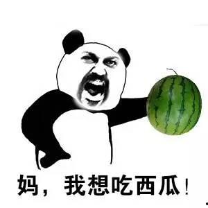 你也是人类吗 吃瓜,我们为何热衷于围观娱乐圈